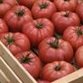 Blushing Star, (F1) Tomato Seeds - Packet thumbnail number null
